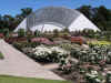 10BotanicGarden.jpg (65375 byte)