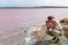 05pinklake.jpg (32052 byte)