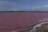 06pinklake.jpg (15203 byte)