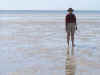 18shellbeach.jpg (34552 byte)